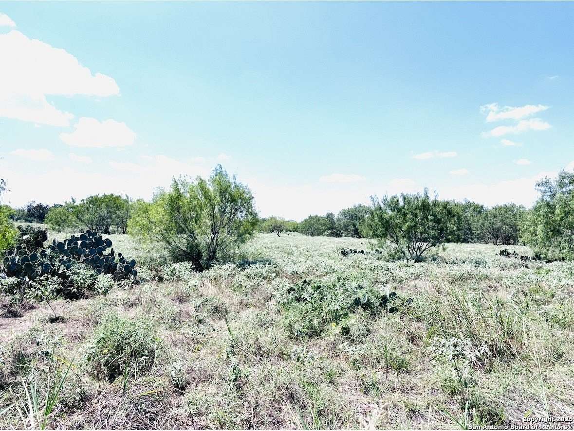 11 Acres of Mixed-Use Land for Sale in Jourdanton, Texas