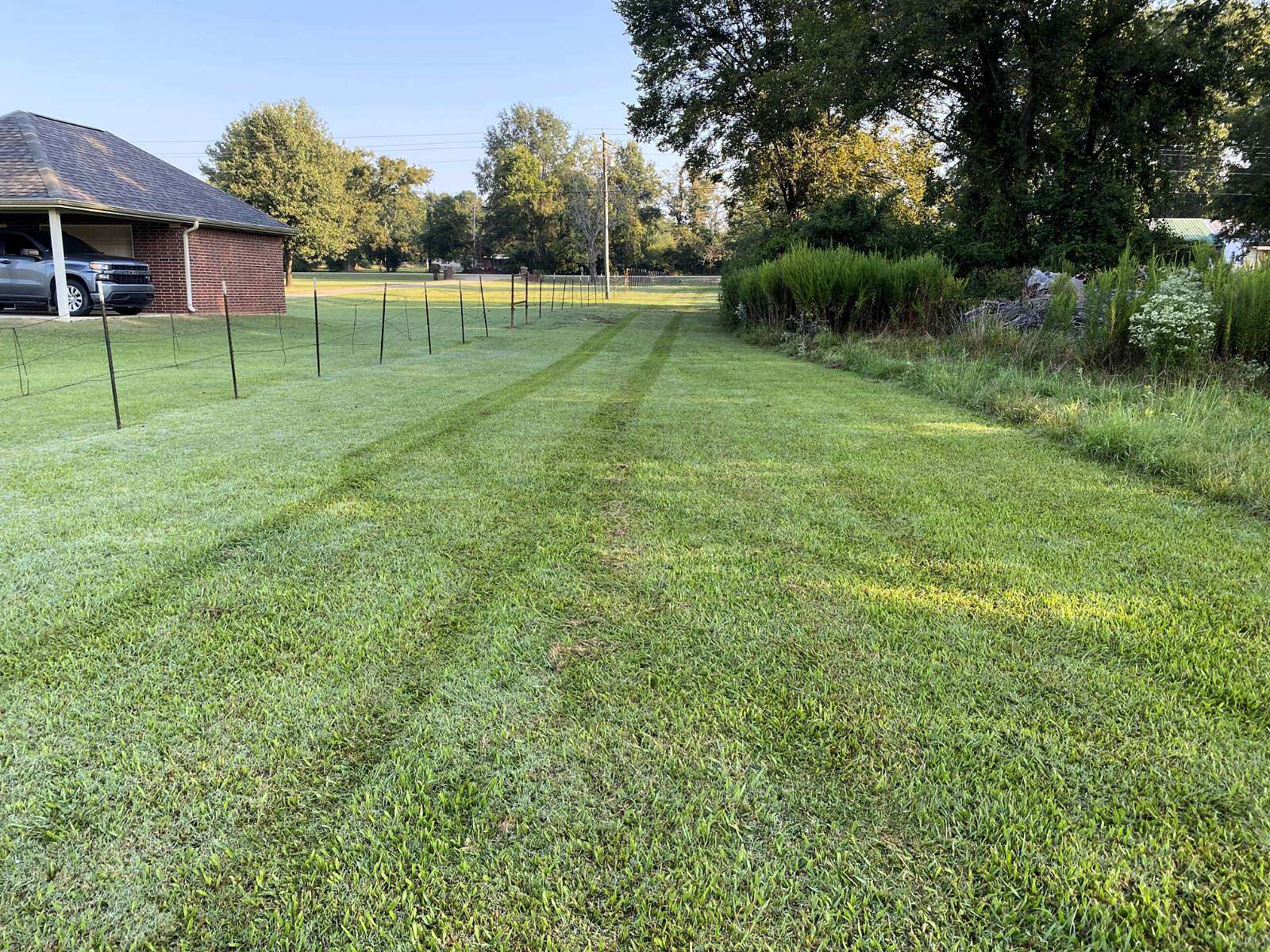 35.3 Acres of Recreational Land for Sale in Ashdown, Arkansas