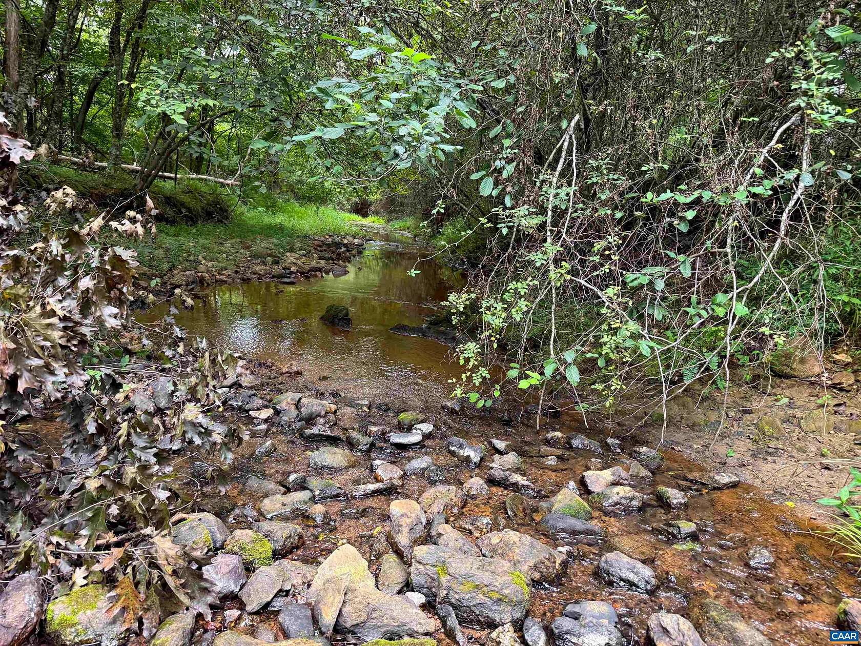 57.7 Acres of Land for Sale in Esmont, Virginia