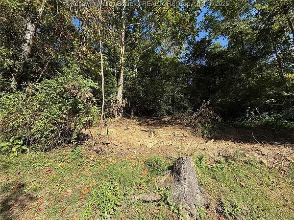 45 Acres of Recreational Land for Sale in Griffithsville, West Virginia