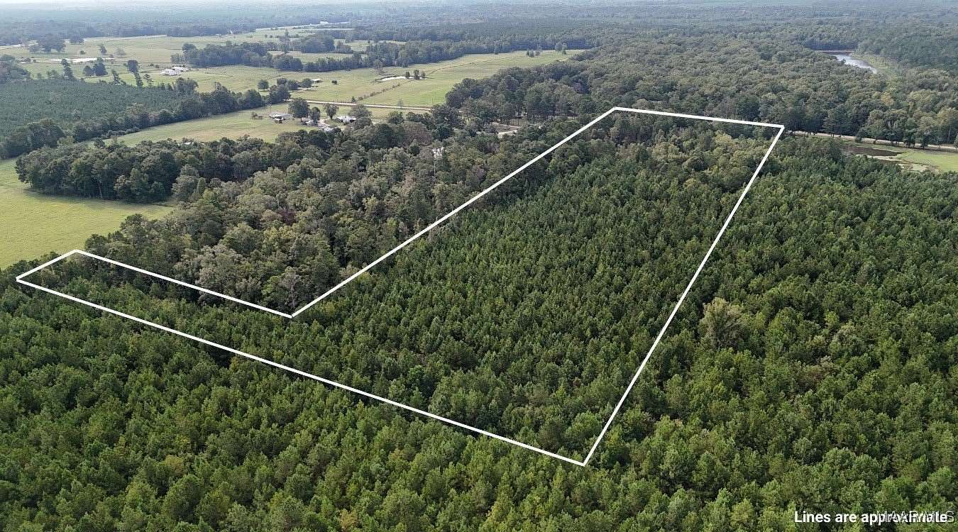 20 Acres of Land for Sale in Grady, Alabama