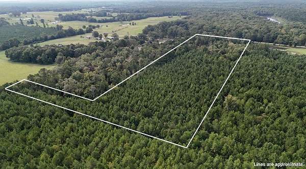20 Acres of Land for Sale in Grady, Alabama