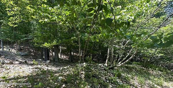 0.37 Acres of Residential Land for Sale in Bushkill, Pennsylvania