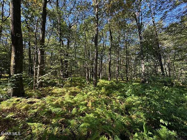 3.49 Acres of Residential Land for Sale in New Paris, Pennsylvania