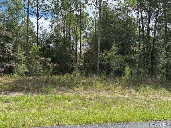 0.23 Acres of Residential Land for Sale in Citrus Springs, Florida