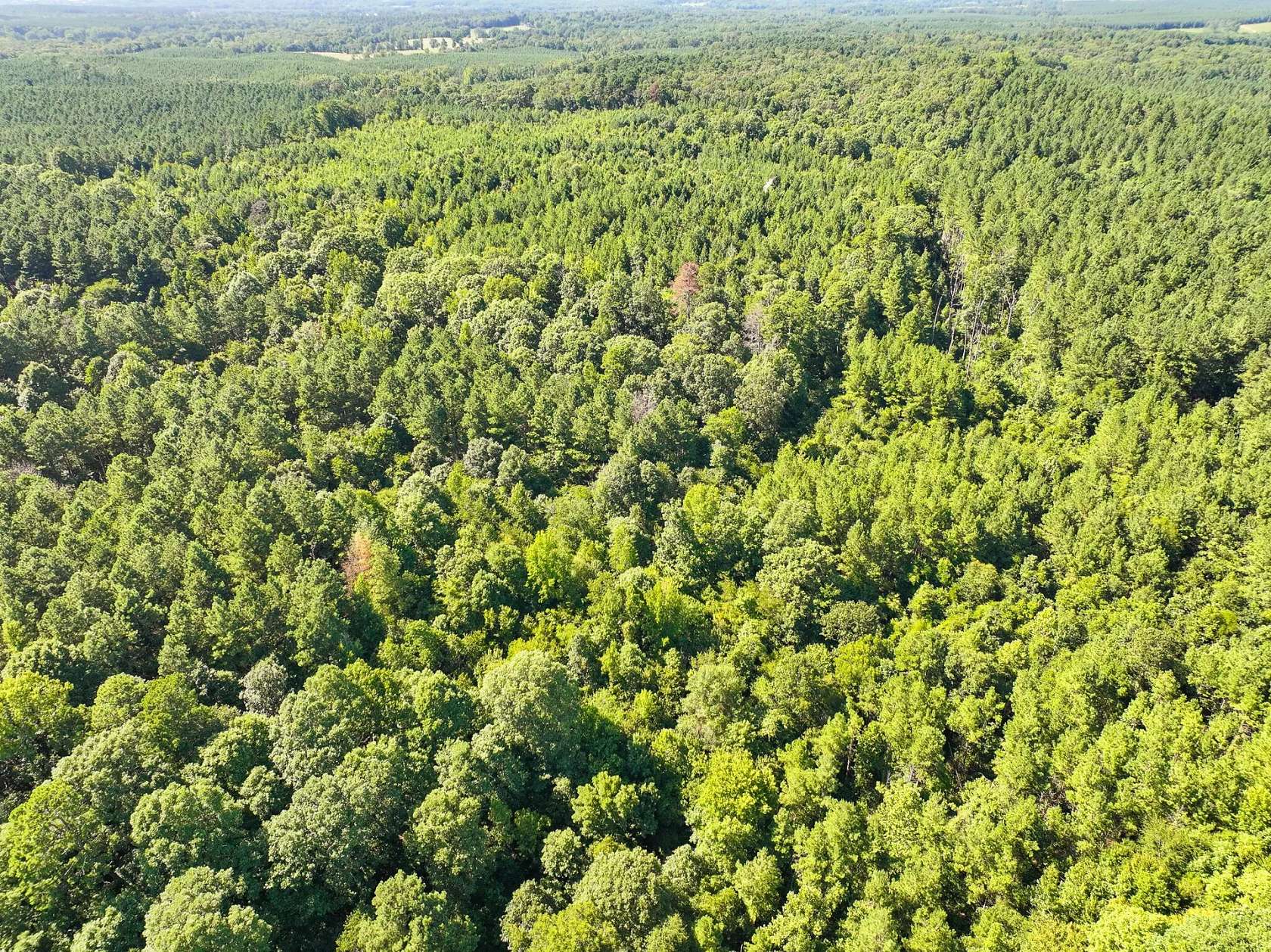 44 Acres of Recreational Land for Sale in De Queen, Arkansas