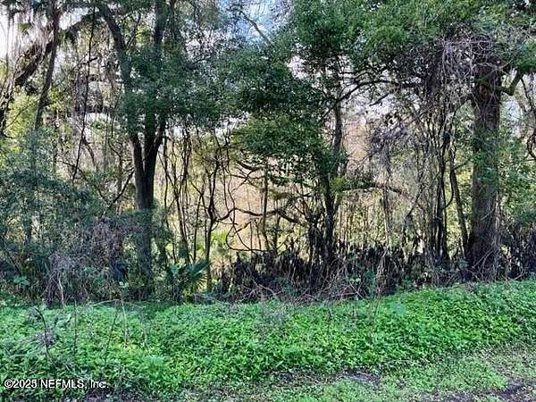 0.45 Acres of Residential Land for Sale in Jacksonville, Florida