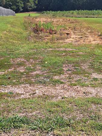 5.75 Acres of Residential Land for Sale in Camden, Tennessee