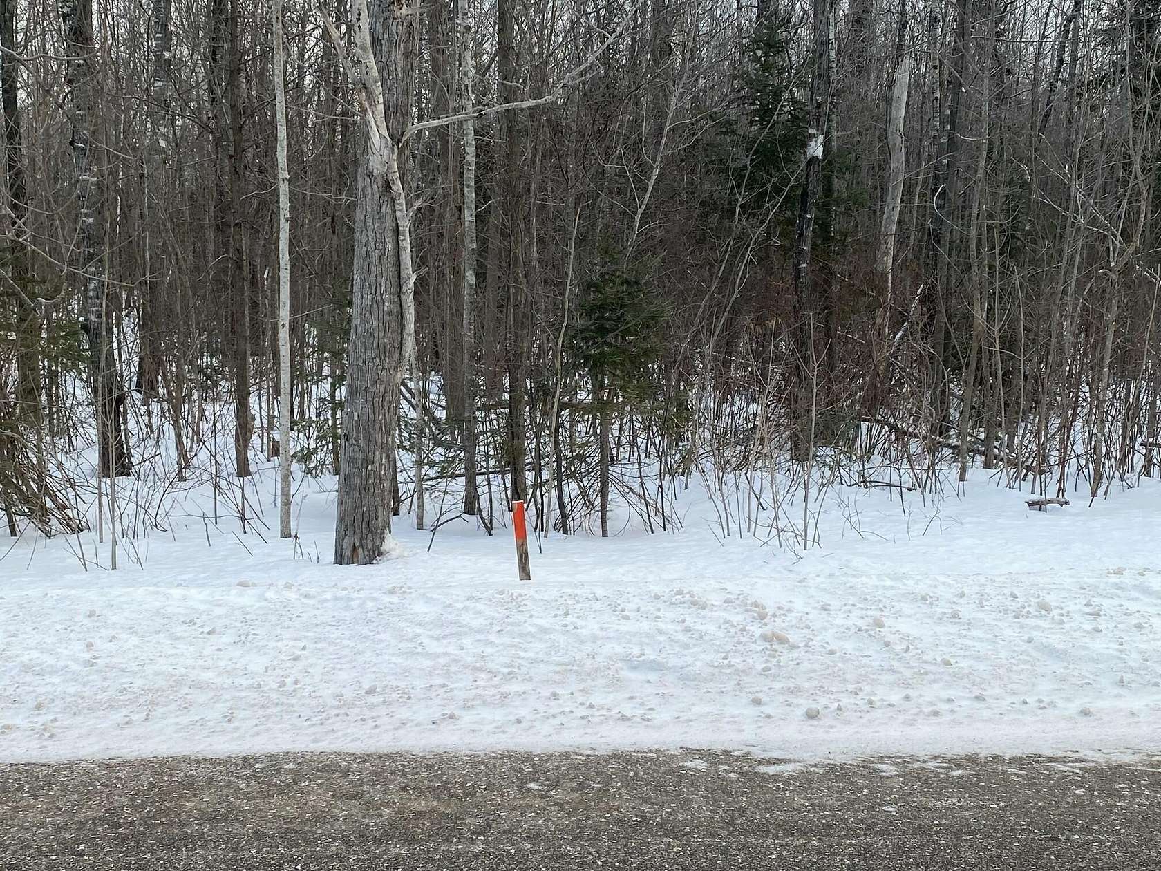 Land for Sale in Mackinaw City, Michigan