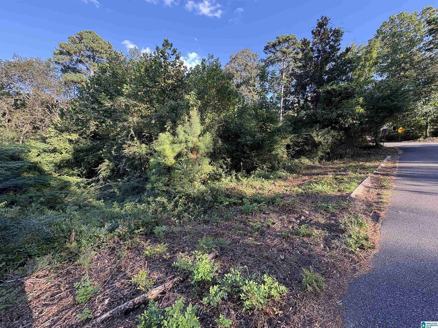 0.47 Acres of Residential Land for Sale in Mount Olive, Alabama