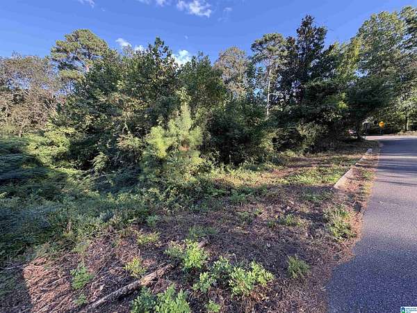 0.47 Acres of Residential Land for Sale in Mount Olive, Alabama