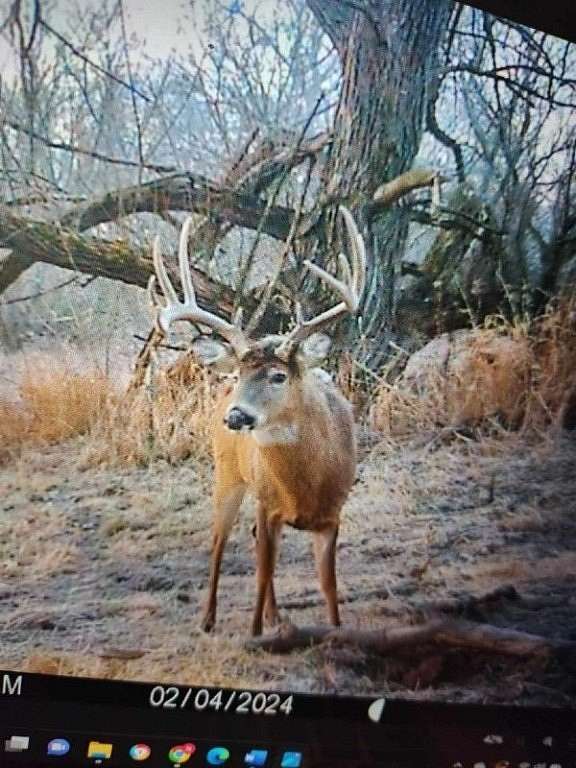 89 Acres of Recreational Land & Farm for Sale in Arkansaw, Wisconsin