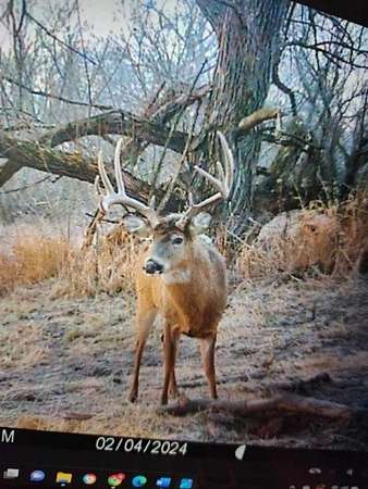 89 Acres of Recreational Land & Farm for Sale in Arkansaw, Wisconsin