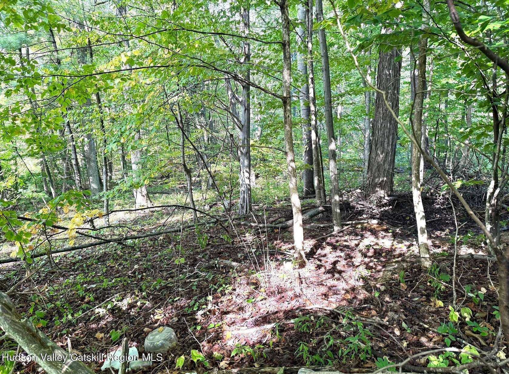 0.78 Acres of Land for Sale in Boiceville, New York