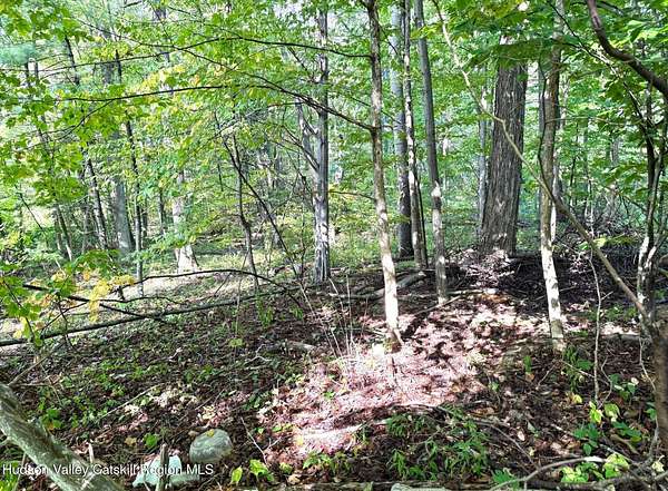 0.78 Acres of Land for Sale in Boiceville, New York