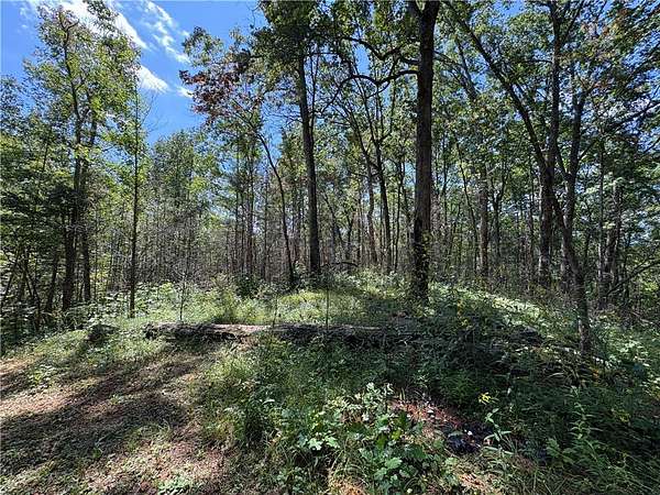 2.39 Acres of Residential Land for Sale in Tamassee, South Carolina