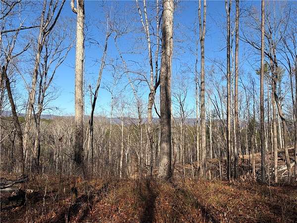 2.39 Acres of Residential Land for Sale in Tamassee, South Carolina