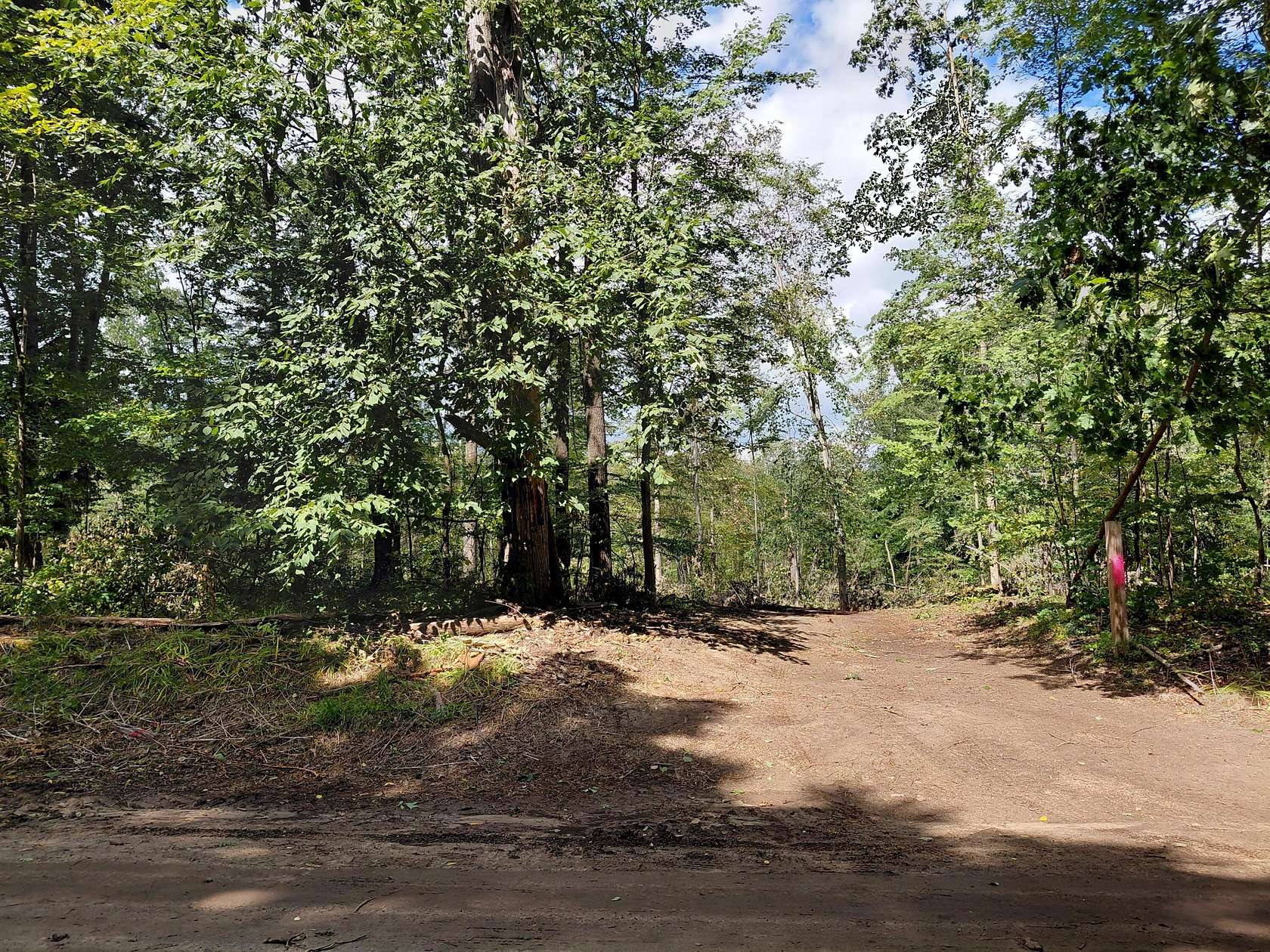 20.3 Acres of Recreational Land for Sale in Vicksburg, Michigan