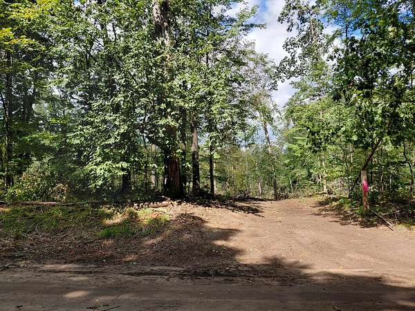 20.3 Acres of Recreational Land for Sale in Vicksburg, Michigan