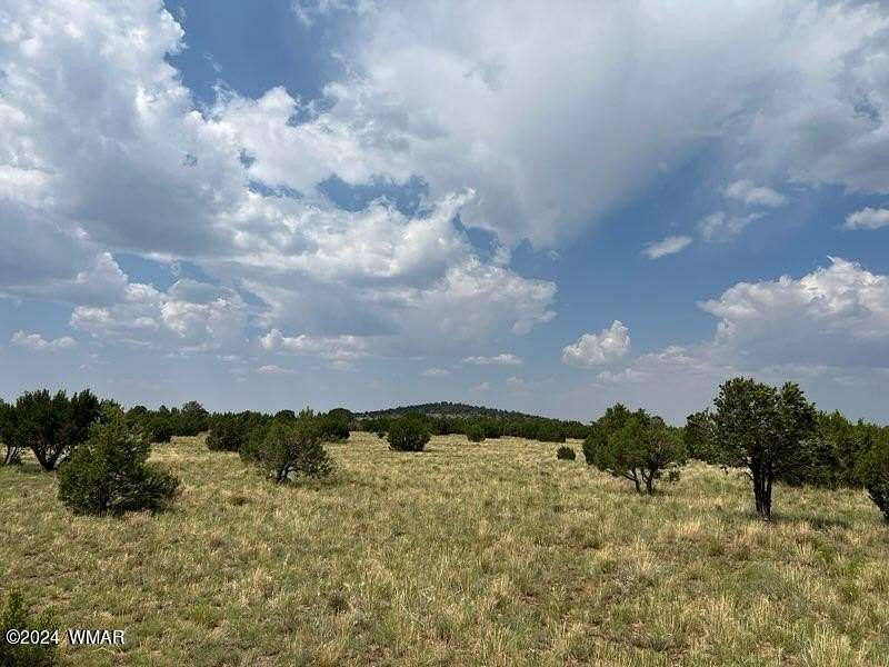 31.4 Acres of Recreational Land for Sale in Vernon, Arizona