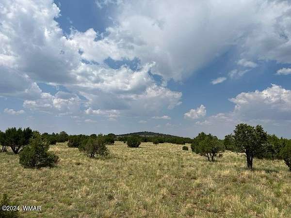 31.4 Acres of Recreational Land for Sale in Vernon, Arizona