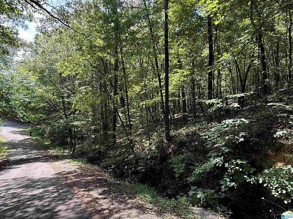 1 Acre of Residential Land for Sale in Glencoe, Alabama