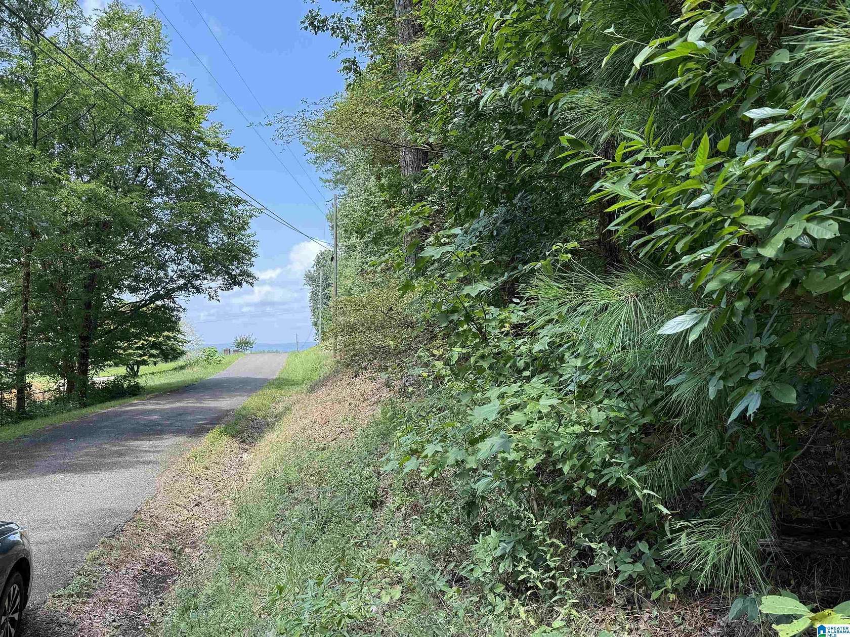 0.87 Acres of Residential Land for Sale in Glencoe, Alabama