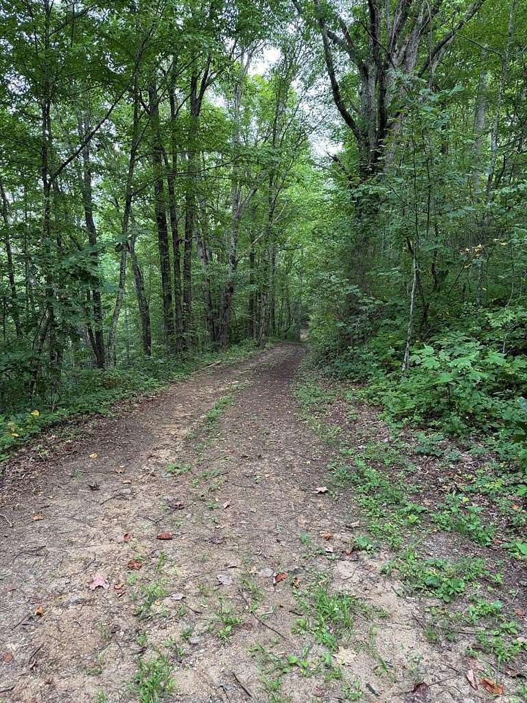 9.52 Acres of Residential Land for Sale in Bryson City, North Carolina