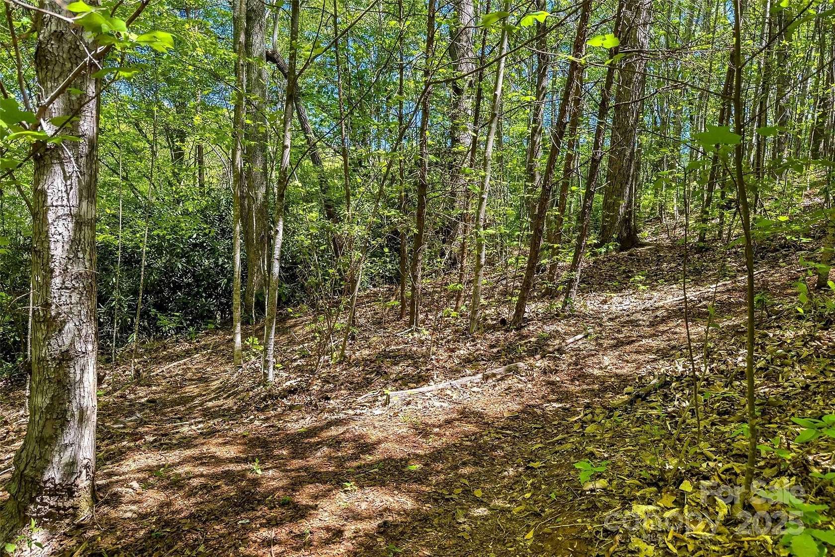 0.65 Acres of Land for Sale in Black Mountain, North Carolina