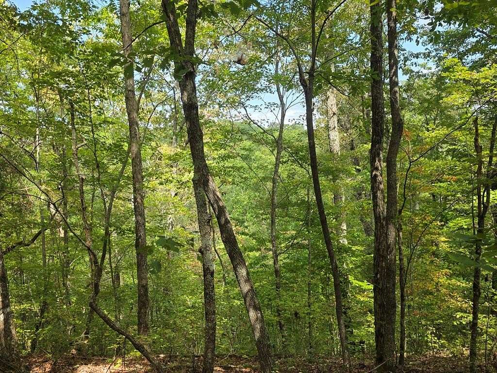 3.4 Acres of Land for Sale in Ellijay, Georgia