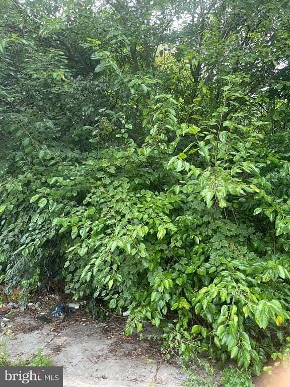 0.02 Acres of Land for Sale in Philadelphia, Pennsylvania