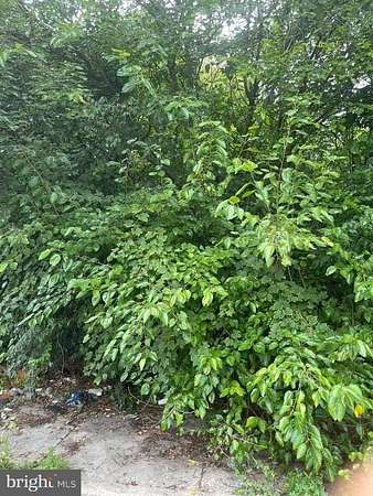 0.02 Acres of Land for Sale in Philadelphia, Pennsylvania