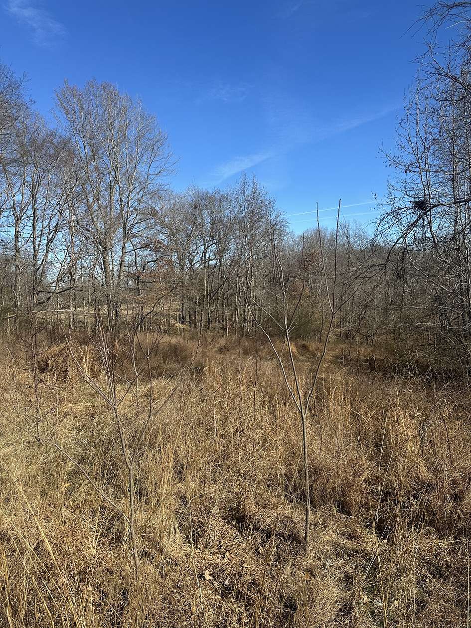 7.54 Acres of Land for Sale in Woodlawn, Tennessee