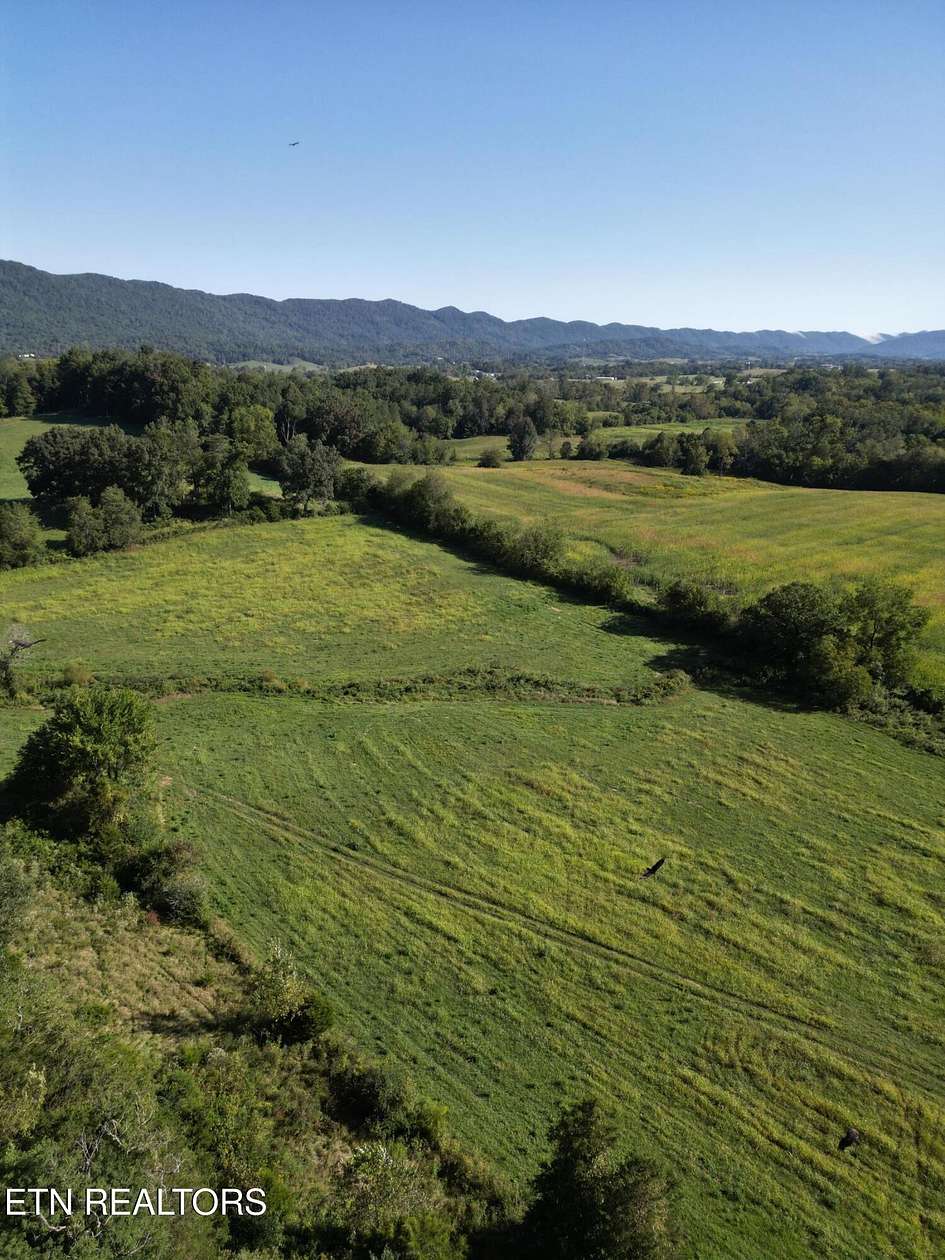 40.6 Acres of Recreational Land & Farm for Sale in Speedwell, Tennessee