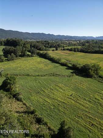 40.6 Acres of Recreational Land & Farm for Sale in Speedwell, Tennessee