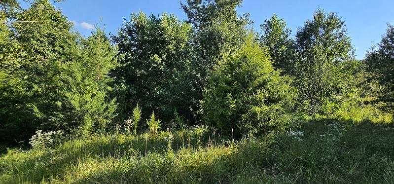 4 Acres of Residential Land for Sale in Dunlap, Tennessee