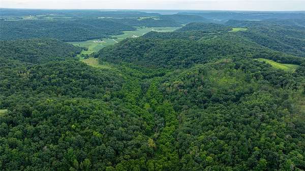 80 Acres of Recreational Land for Sale in Cochrane, Wisconsin