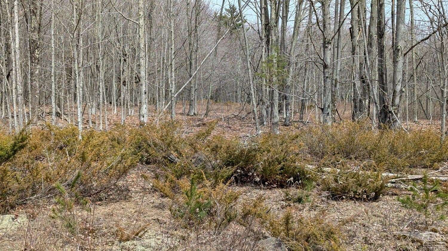 6 Acres of Residential Land for Sale in Jewett, New York