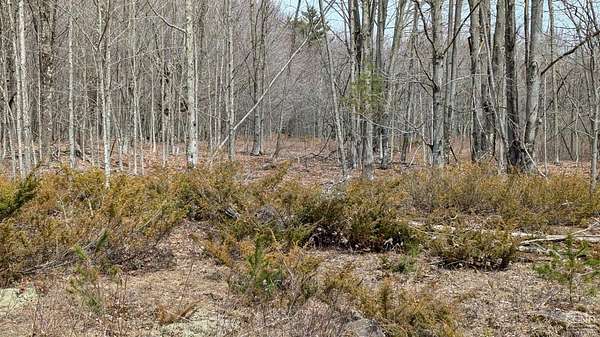 6 Acres of Residential Land for Sale in Jewett, New York