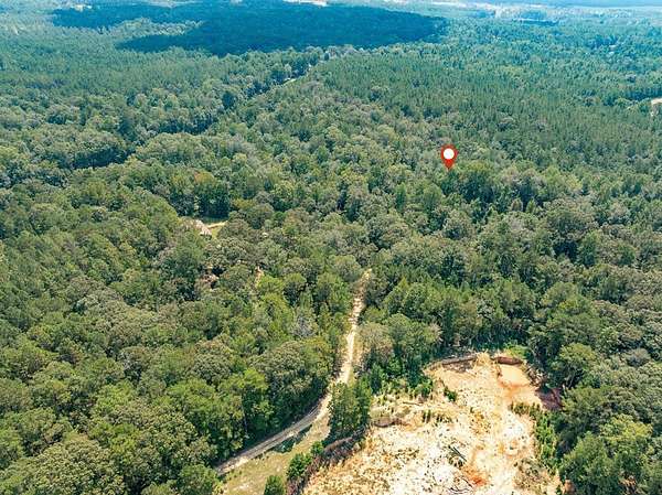 17.2 Acres of Recreational Land for Sale in Hattiesburg, Mississippi