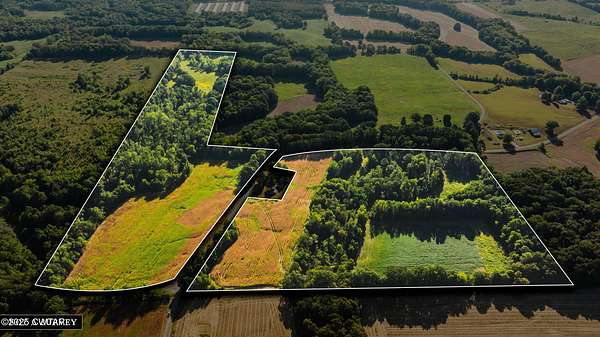 63.1 Acres of Land for Sale in Dukedom, Tennessee