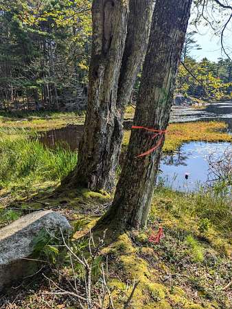 23.3 Acres of Land for Sale in Westport Island, Maine
