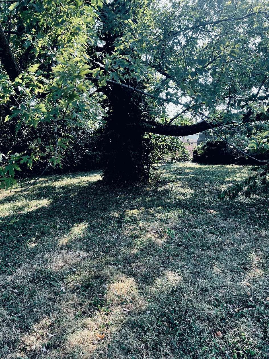 0.49 Acres of Commercial Land for Sale in Springfield, Missouri