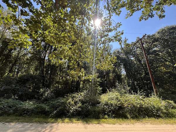 0.16 Acres of Land for Sale in Grass Lake, Michigan