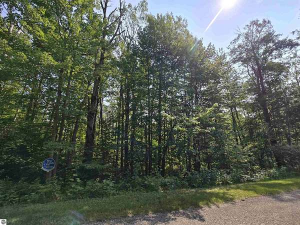 1.75 Acres of Residential Land for Sale in Elmira, Michigan