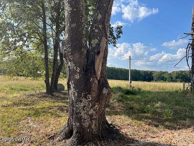 1 Acre of Land for Sale in Lavinia, Tennessee