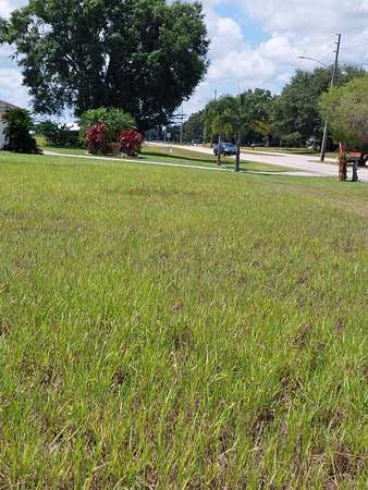 0.56 Acres of Residential Land for Sale in Sebring, Florida