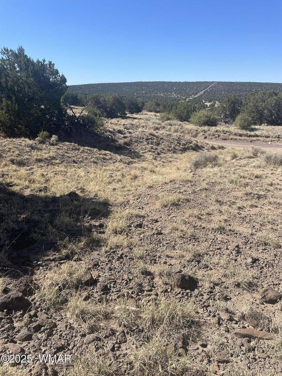 1.2 Acres of Land for Sale in Concho, Arizona