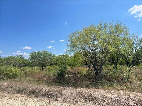 1 Acre of Residential Land for Sale in Three Rivers, Texas