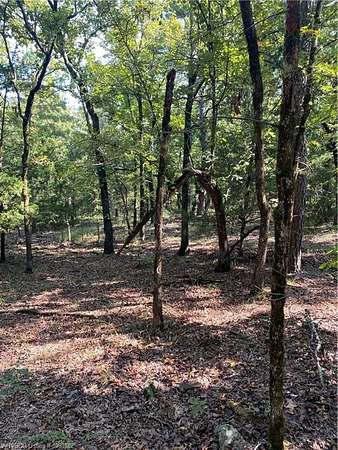 7.33 Acres of Agricultural Land for Sale in Wister, Oklahoma